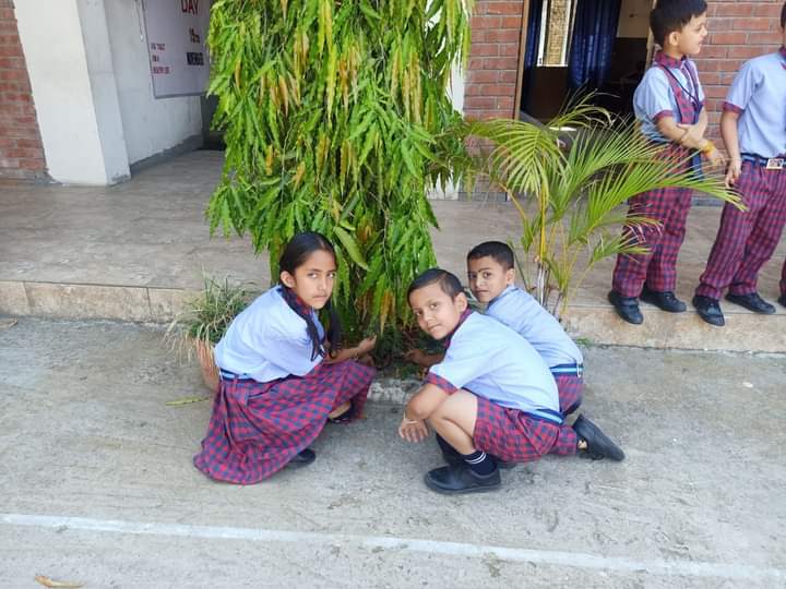 Protect tree