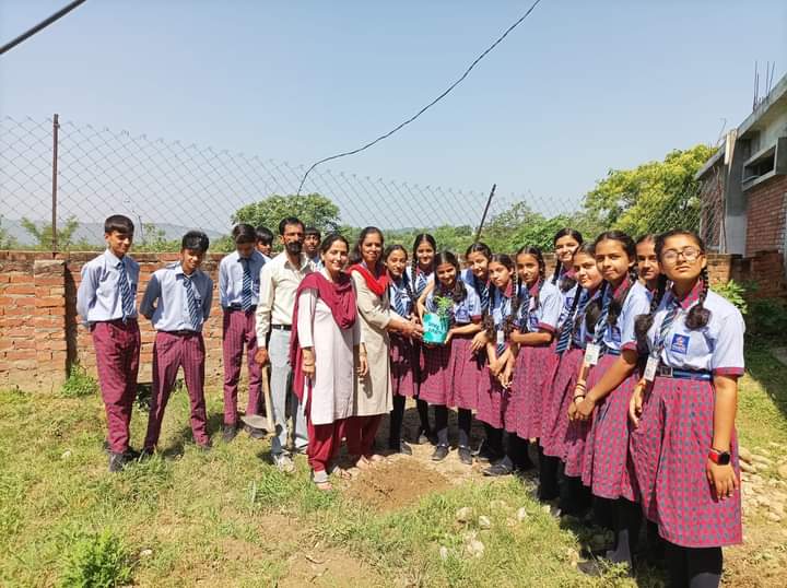 Save Trees