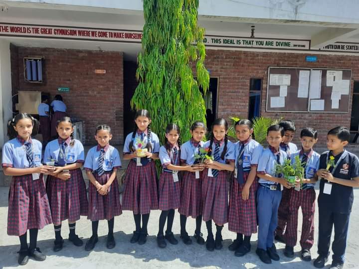 Save Tree 